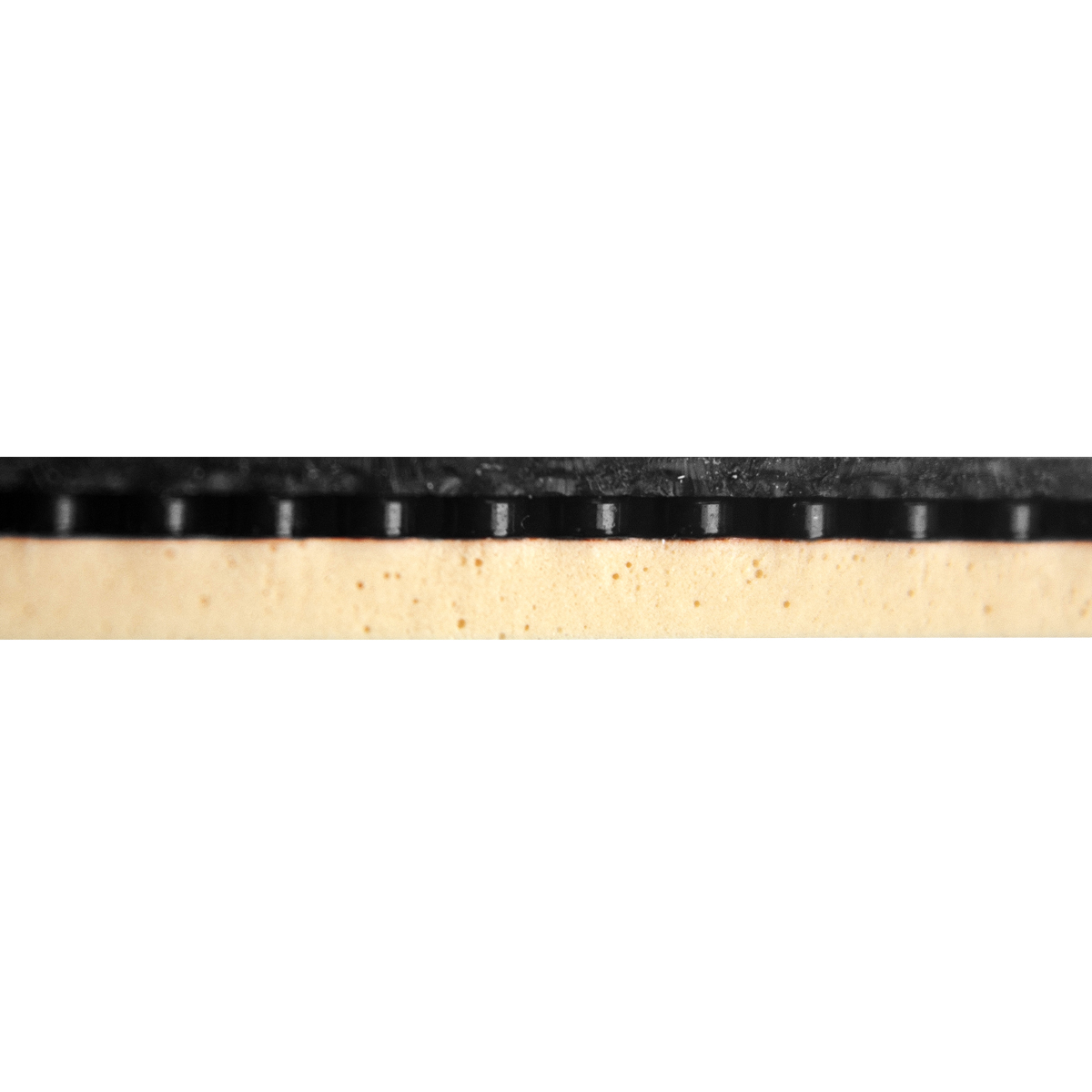 GEWO Belag Codexx EF Pro 54